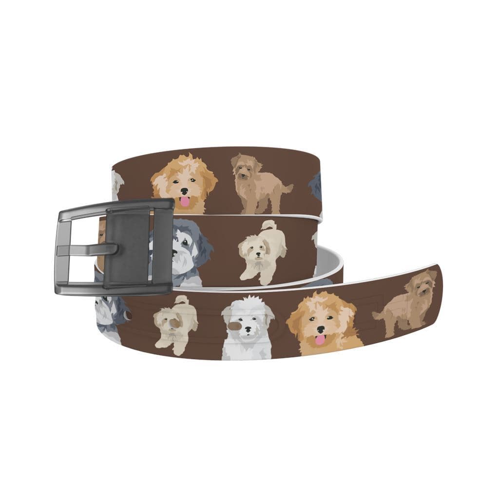 C4- Belt (Maltipoo)