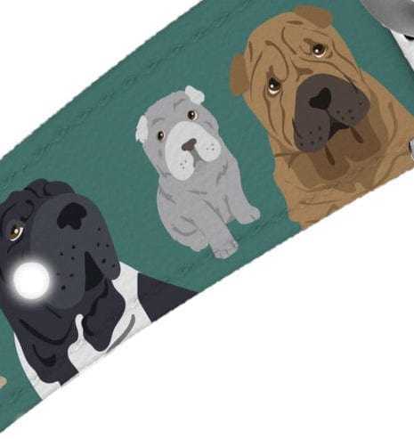 C4 Belts Belt C4- Char Pei Belt equestrian team apparel online tack store mobile tack store custom farm apparel custom show stable clothing equestrian lifestyle horse show clothing riding clothes horses equestrian tack store