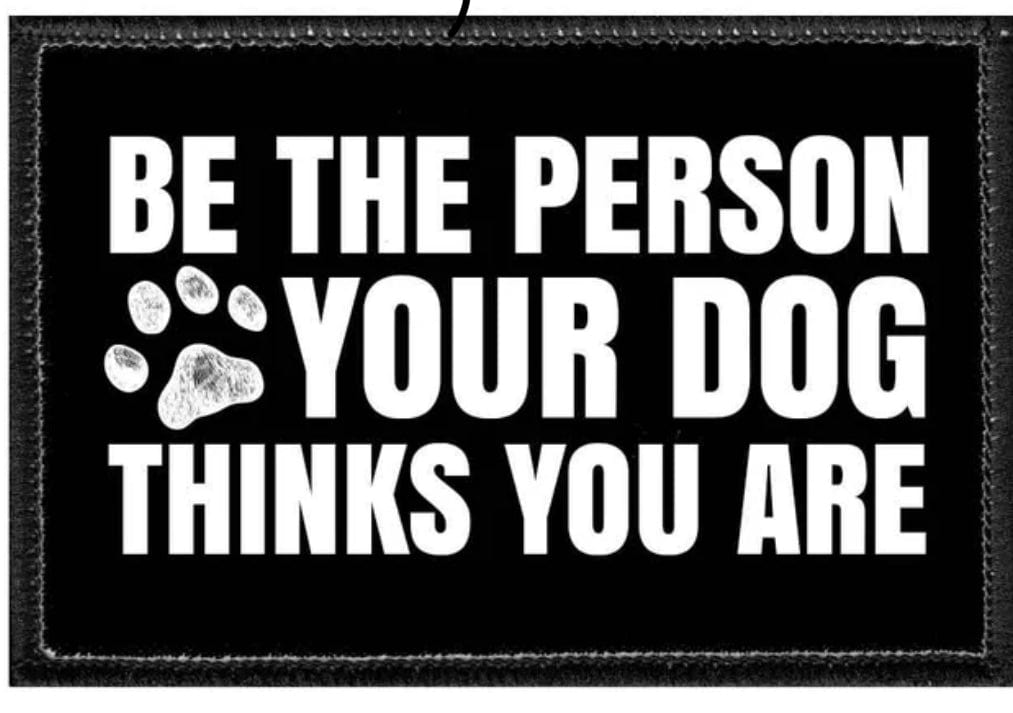 pull patch Hats Be the Person your Dog Thinks you are Pull Patch- Removable Patches (Pets) equestrian team apparel online tack store mobile tack store custom farm apparel custom show stable clothing equestrian lifestyle horse show clothing riding clothes Pull Patch- Removable Patches (Pets) horses equestrian tack store