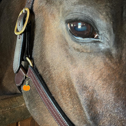 Fina's Lucky Charm charm Fina's Lucky Charm w/Ring equestrian team apparel online tack store mobile tack store custom farm apparel custom show stable clothing equestrian lifestyle horse show clothing riding clothes horses equestrian tack store