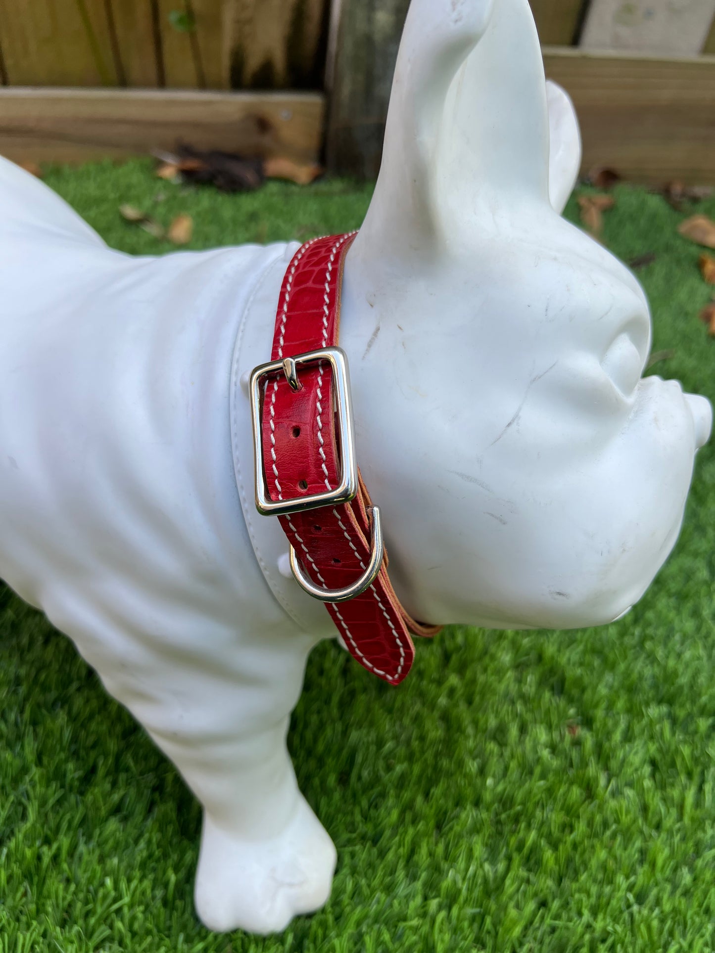 Chuck P dog collar Red Croc / 9 Chuck P- Dog Collars equestrian team apparel online tack store mobile tack store custom farm apparel custom show stable clothing equestrian lifestyle horse show clothing riding clothes Chuck P- Dog Collars horses equestrian tack store