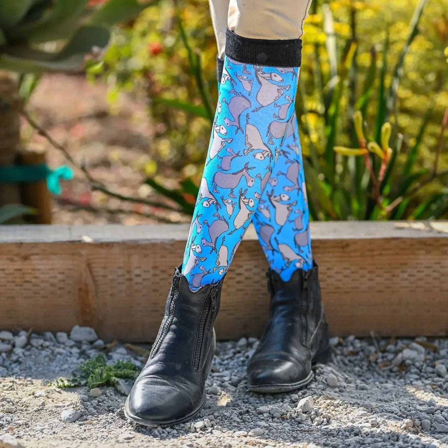 Dreamers & Schemers Socks Dreamers & Schemers- Jack equestrian team apparel online tack store mobile tack store custom farm apparel custom show stable clothing equestrian lifestyle horse show clothing riding clothes horses equestrian tack store