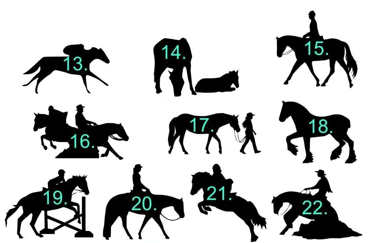 Customize ETA Customize Customize Your Apparel with Vinyl Text & Designs equestrian team apparel online tack store mobile tack store custom farm apparel custom show stable clothing equestrian lifestyle horse show clothing riding clothes horses equestrian tack store