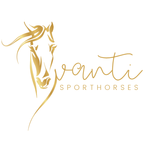 Avanti Sport Horses- Sun Shirt w/Logo - Equestrian Team Apparel