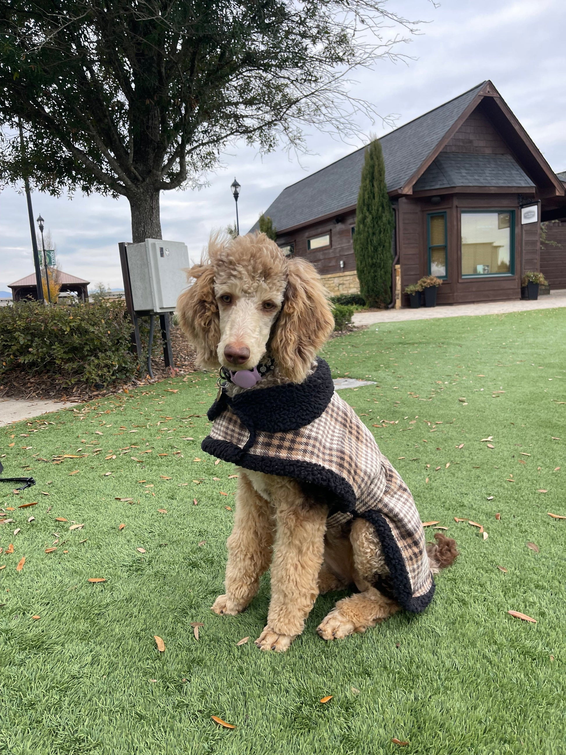 Equestrian Team Apparel dog coat Designer Harness- Dog Coat equestrian team apparel online tack store mobile tack store custom farm apparel custom show stable clothing equestrian lifestyle horse show clothing riding clothes horses equestrian tack store