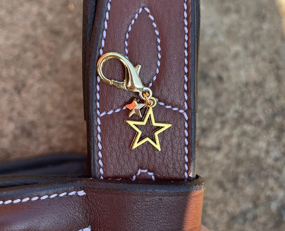 Fina's Lucky Charm charm Star Outline w/Solid Charm (Gold) Fina's Lucky Charm equestrian team apparel online tack store mobile tack store custom farm apparel custom show stable clothing equestrian lifestyle horse show clothing riding clothes horses equestrian tack store