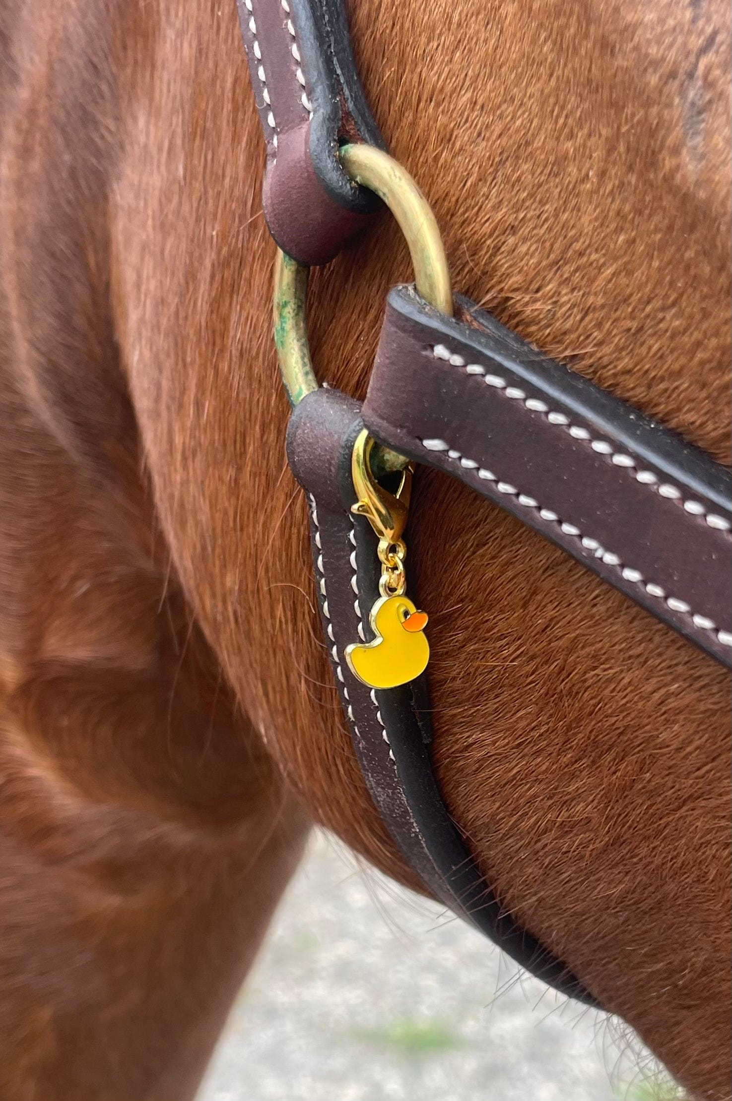 Fina's Lucky Charm charm Fina's Lucky Charm equestrian team apparel online tack store mobile tack store custom farm apparel custom show stable clothing equestrian lifestyle horse show clothing riding clothes horses equestrian tack store