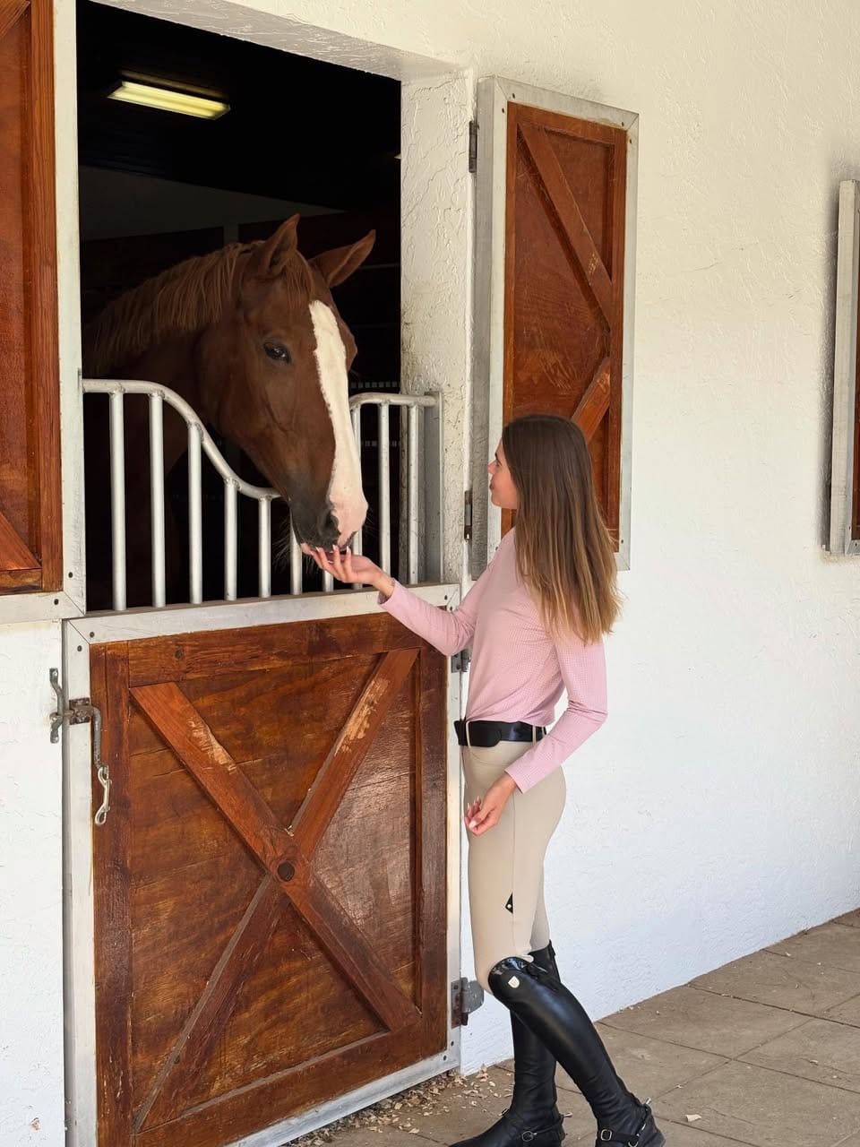 Equisite Elements of Style Women's Shirt Equisite Elements- Alesia High Collar Technical Top equestrian team apparel online tack store mobile tack store custom farm apparel custom show stable clothing equestrian lifestyle horse show clothing riding clothes Equisite Elements- Alesia High Collar Technical Top horses equestrian tack store