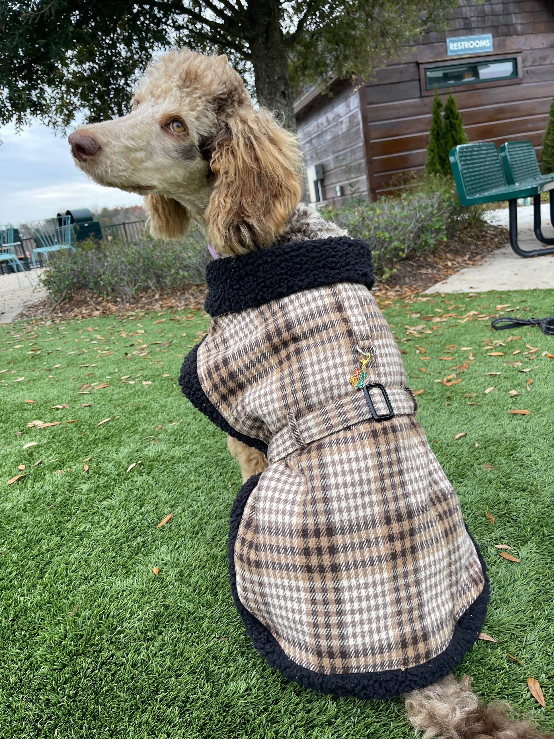 Equestrian Team Apparel dog coat Designer Harness- Dog Coat (Plaid) equestrian team apparel online tack store mobile tack store custom farm apparel custom show stable clothing equestrian lifestyle horse show clothing riding clothes horses equestrian tack store