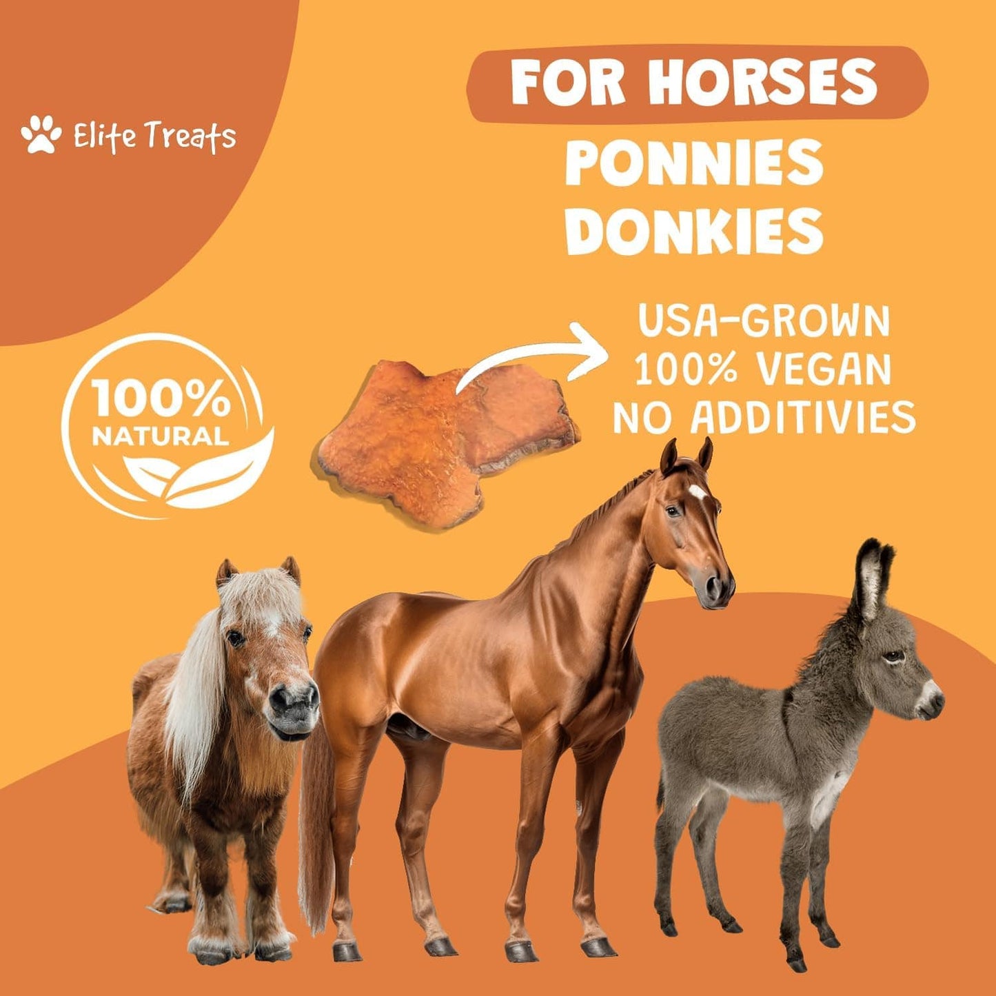 elite treats horse treats Elite Treats- Horse equestrian team apparel online tack store mobile tack store custom farm apparel custom show stable clothing equestrian lifestyle horse show clothing riding clothes Elite Treats- Horse horses equestrian tack store