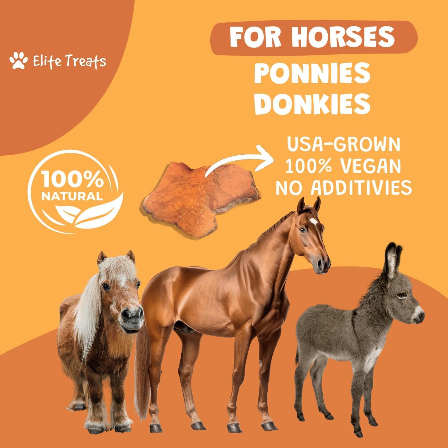 elite treats horse treats Elite Treats- Horse equestrian team apparel online tack store mobile tack store custom farm apparel custom show stable clothing equestrian lifestyle horse show clothing riding clothes Elite Treats- Horse horses equestrian tack store