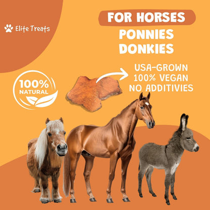 elite treats horse treats Elite Treats- Horse equestrian team apparel online tack store mobile tack store custom farm apparel custom show stable clothing equestrian lifestyle horse show clothing riding clothes Elite Treats- Horse horses equestrian tack store