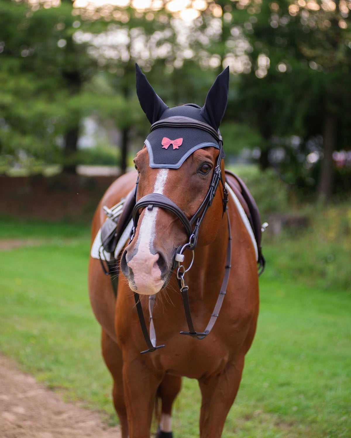 Pinsnickety Accessory Pinsnickety- Bonnet Pin (Back Off) equestrian team apparel online tack store mobile tack store custom farm apparel custom show stable clothing equestrian lifestyle horse show clothing riding clothes Pinsnickety- Bonnet Pin (Back Off) horses equestrian tack store