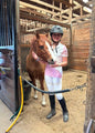EquestrianClub Training Shirt XXS / White/Pink EquestrianClub- Lil Lenna Short Sleeve Show Top (Youth) equestrian team apparel online tack store mobile tack store custom farm apparel custom show stable clothing equestrian lifestyle horse show clothing riding clothes EquestrianClub- Lil Lenna Short Sleeve Show Top (Youth) horses equestrian tack store