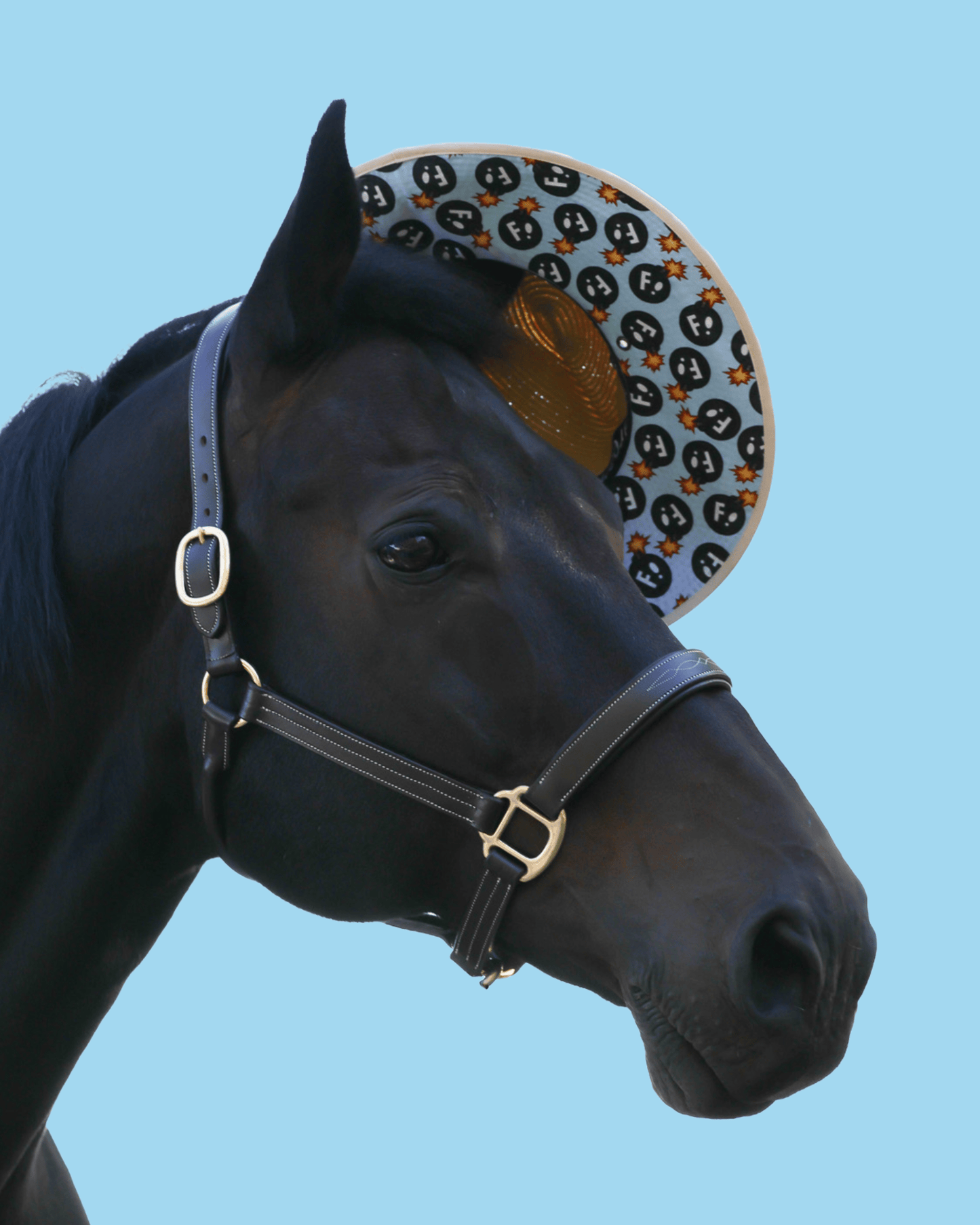 Dreamers & Schemers Hats Dreamers & Schemers- Hay Sunshine F Bomb Hat equestrian team apparel online tack store mobile tack store custom farm apparel custom show stable clothing equestrian lifestyle horse show clothing riding clothes Dreamers & Schemers- Hay Sunshine F Bomb Hat horses equestrian tack store