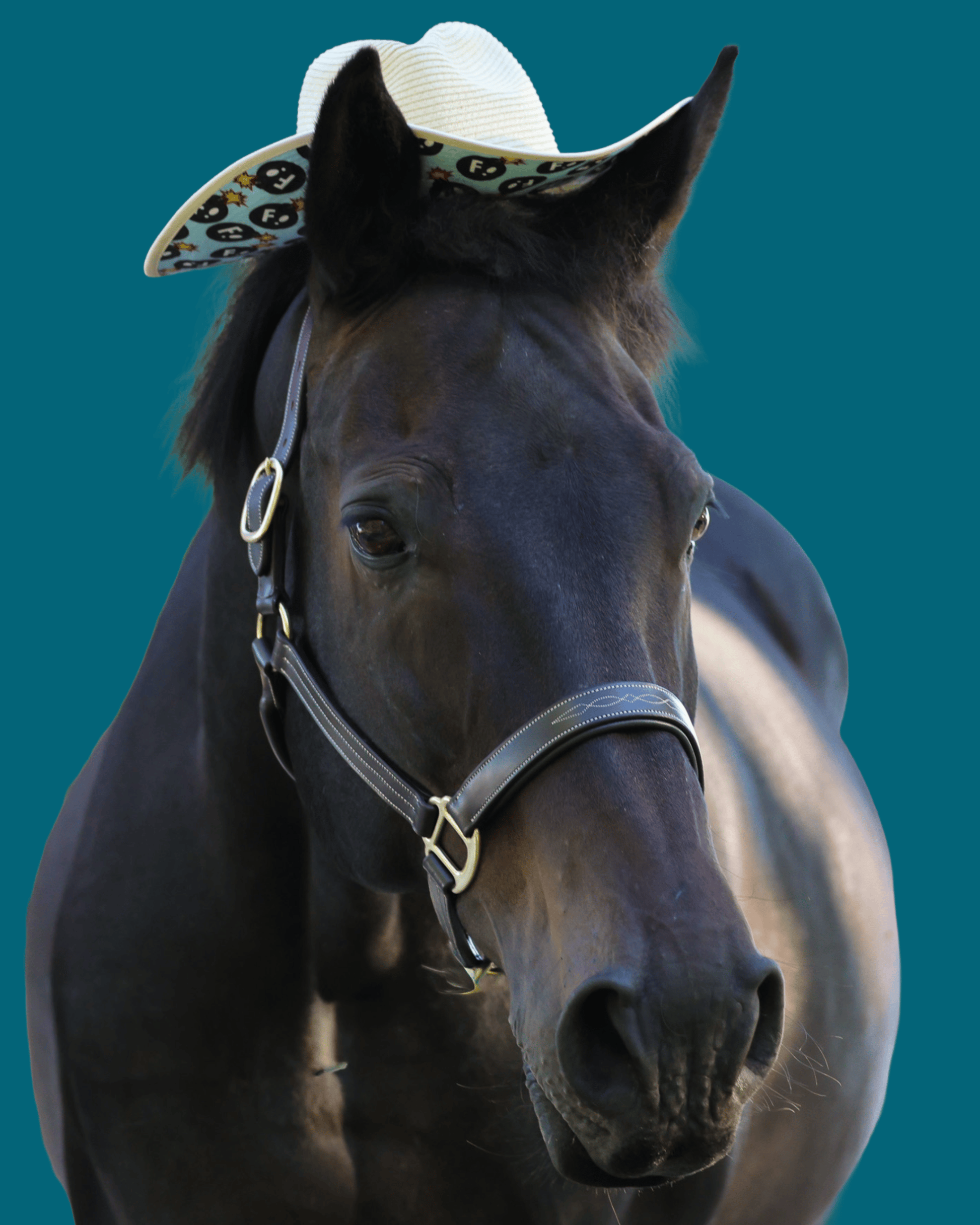 Dreamers & Schemers Hats Dreamers & Schemers- Hay Sunshine F Bomb Hat equestrian team apparel online tack store mobile tack store custom farm apparel custom show stable clothing equestrian lifestyle horse show clothing riding clothes Dreamers & Schemers- Hay Sunshine F Bomb Hat horses equestrian tack store