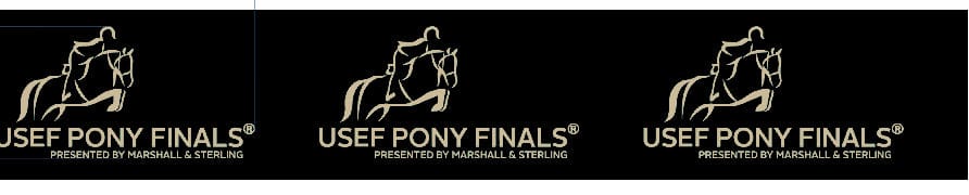 Pony Belts Co. Belts Stretch Belt- Pony Finals 2024 ( 2" Black/Tan) equestrian team apparel online tack store mobile tack store custom farm apparel custom show stable clothing equestrian lifestyle horse show clothing riding clothes horses equestrian tack store