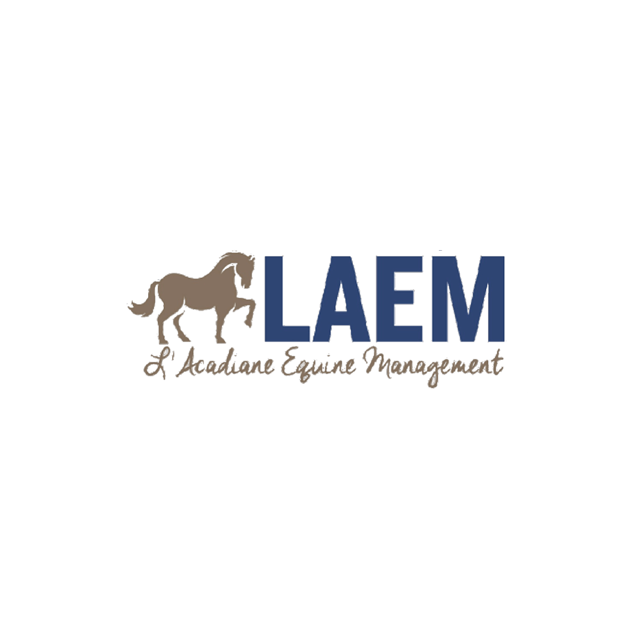 Equestrian Team Apparel Custom Team Shirts LAEM- Sun Shirt Ladies equestrian team apparel online tack store mobile tack store custom farm apparel custom show stable clothing equestrian lifestyle horse show clothing riding clothes horses equestrian tack store