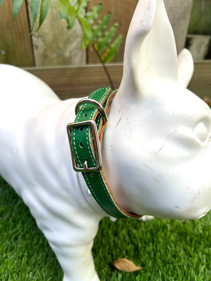 Chuck P dog collar Kelly Green / 14 Chuck P- Dog Collars equestrian team apparel online tack store mobile tack store custom farm apparel custom show stable clothing equestrian lifestyle horse show clothing riding clothes Chuck P- Dog Collars horses equestrian tack store