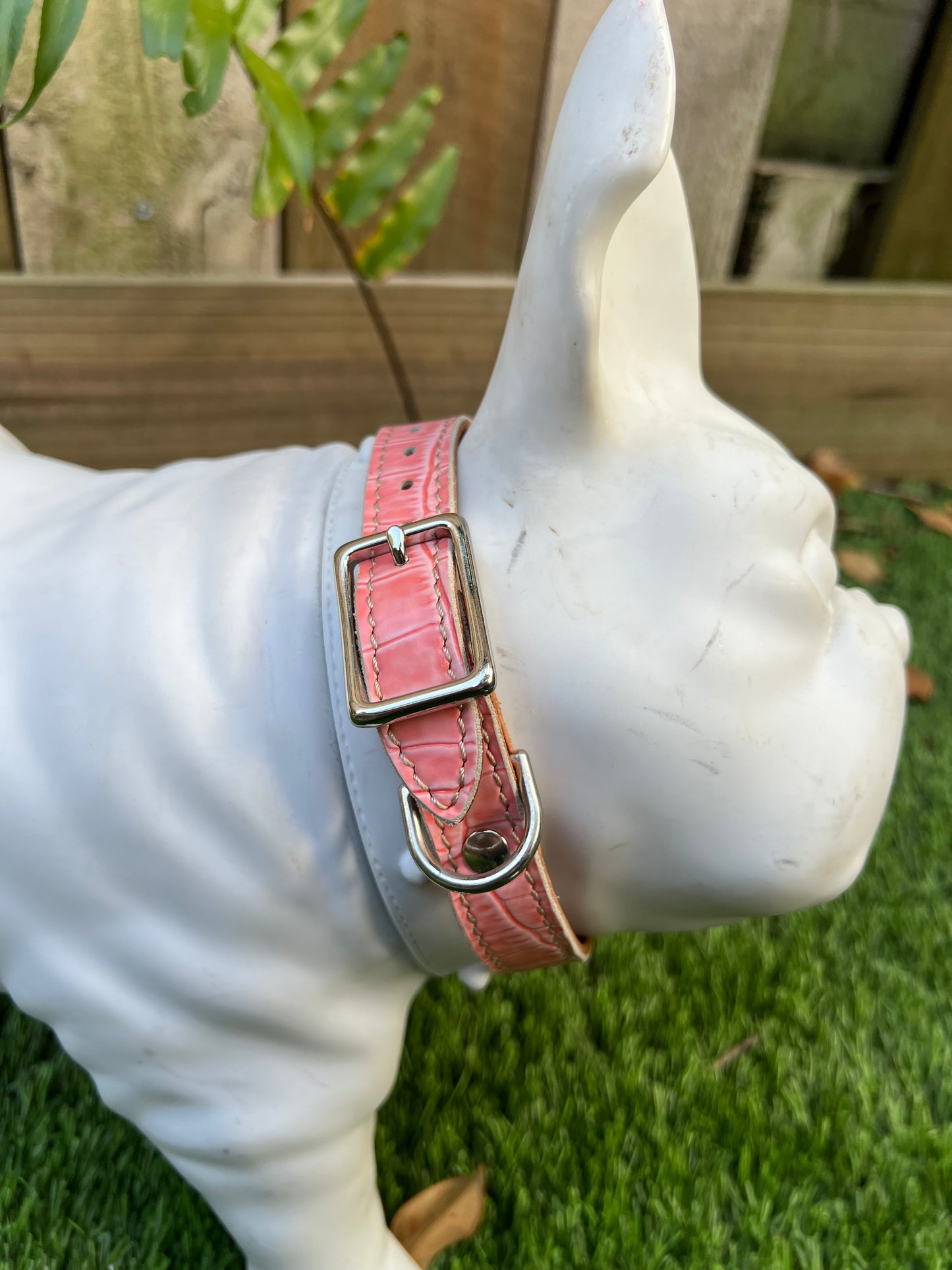 Chuck P dog collar Baby Pink Croc / 12 Chuck P- Dog Collars equestrian team apparel online tack store mobile tack store custom farm apparel custom show stable clothing equestrian lifestyle horse show clothing riding clothes Chuck P- Dog Collars horses equestrian tack store