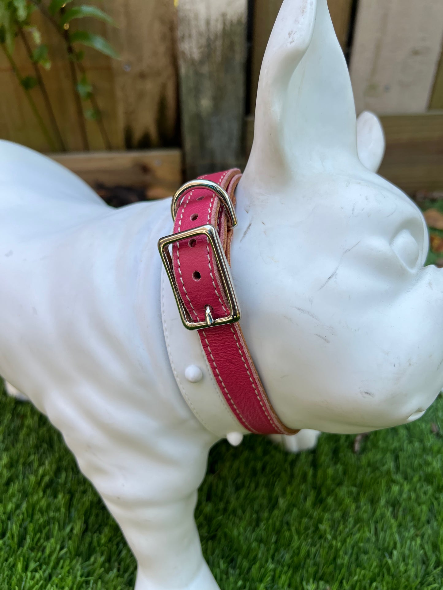 Chuck P dog collar Hot Pink / 12 Chuck P- Dog Collars equestrian team apparel online tack store mobile tack store custom farm apparel custom show stable clothing equestrian lifestyle horse show clothing riding clothes Chuck P- Dog Collars horses equestrian tack store