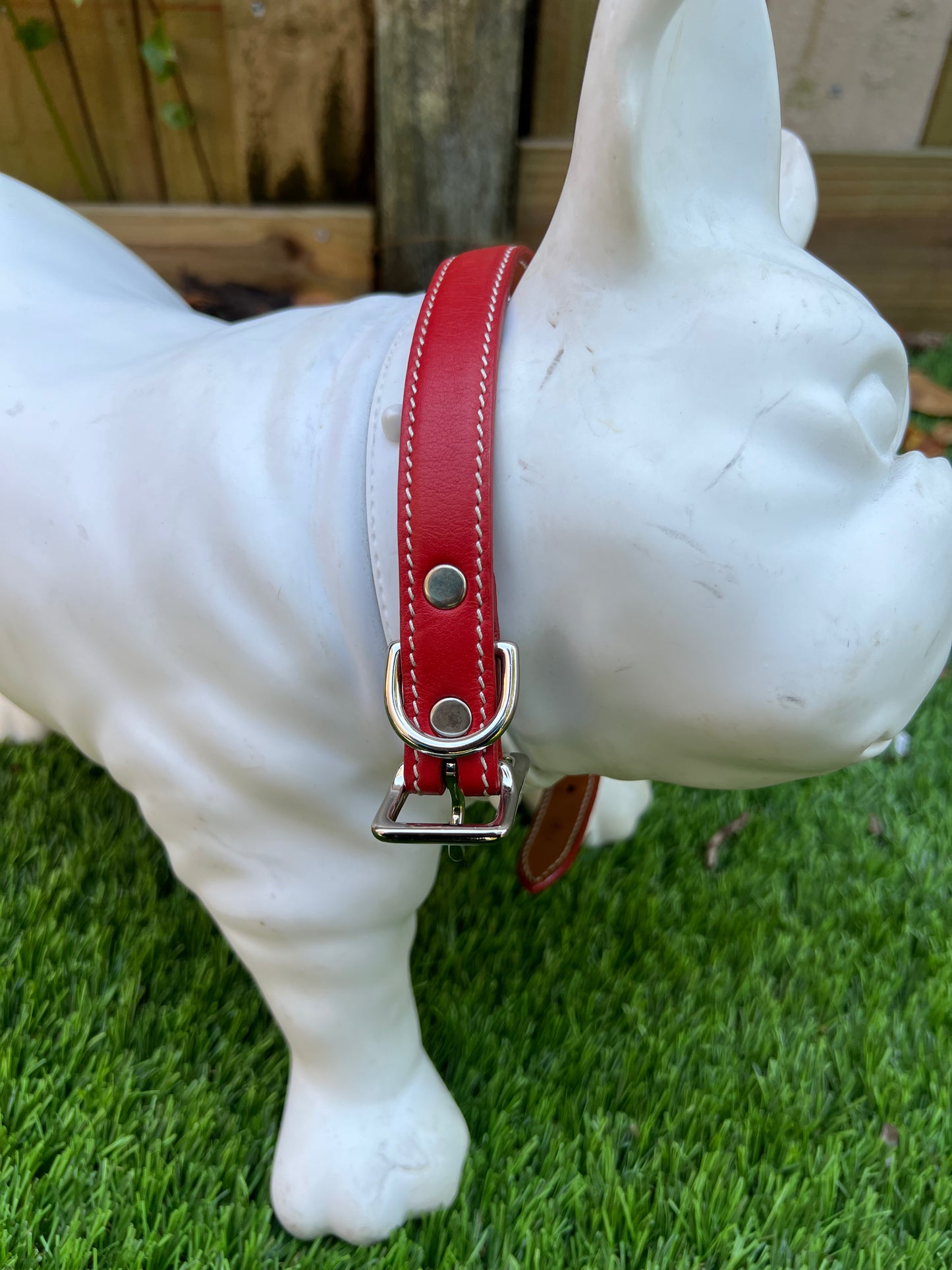 Chuck P dog collar Red / 14 Chuck P- Dog Collars equestrian team apparel online tack store mobile tack store custom farm apparel custom show stable clothing equestrian lifestyle horse show clothing riding clothes Chuck P- Dog Collars horses equestrian tack store
