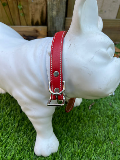 Chuck P dog collar Red / 14 Chuck P- Dog Collars equestrian team apparel online tack store mobile tack store custom farm apparel custom show stable clothing equestrian lifestyle horse show clothing riding clothes Chuck P- Dog Collars horses equestrian tack store