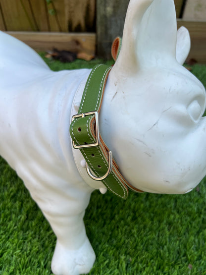 Chuck P dog collar Fern / 10 Chuck P- Dog Collars equestrian team apparel online tack store mobile tack store custom farm apparel custom show stable clothing equestrian lifestyle horse show clothing riding clothes Chuck P- Dog Collars horses equestrian tack store