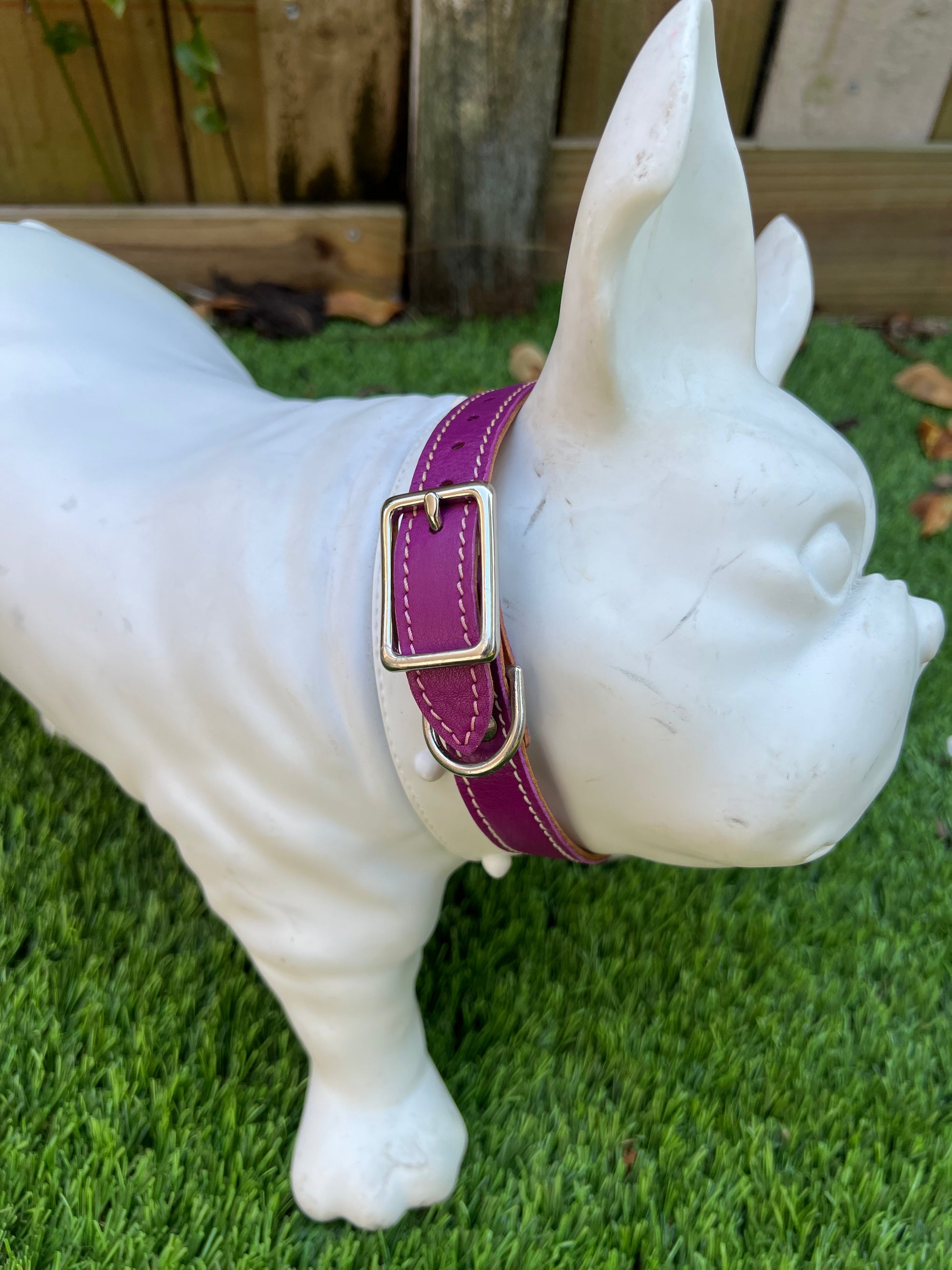 Chuck P dog collar Violet / 12 Chuck P- Dog Collars equestrian team apparel online tack store mobile tack store custom farm apparel custom show stable clothing equestrian lifestyle horse show clothing riding clothes Chuck P- Dog Collars horses equestrian tack store