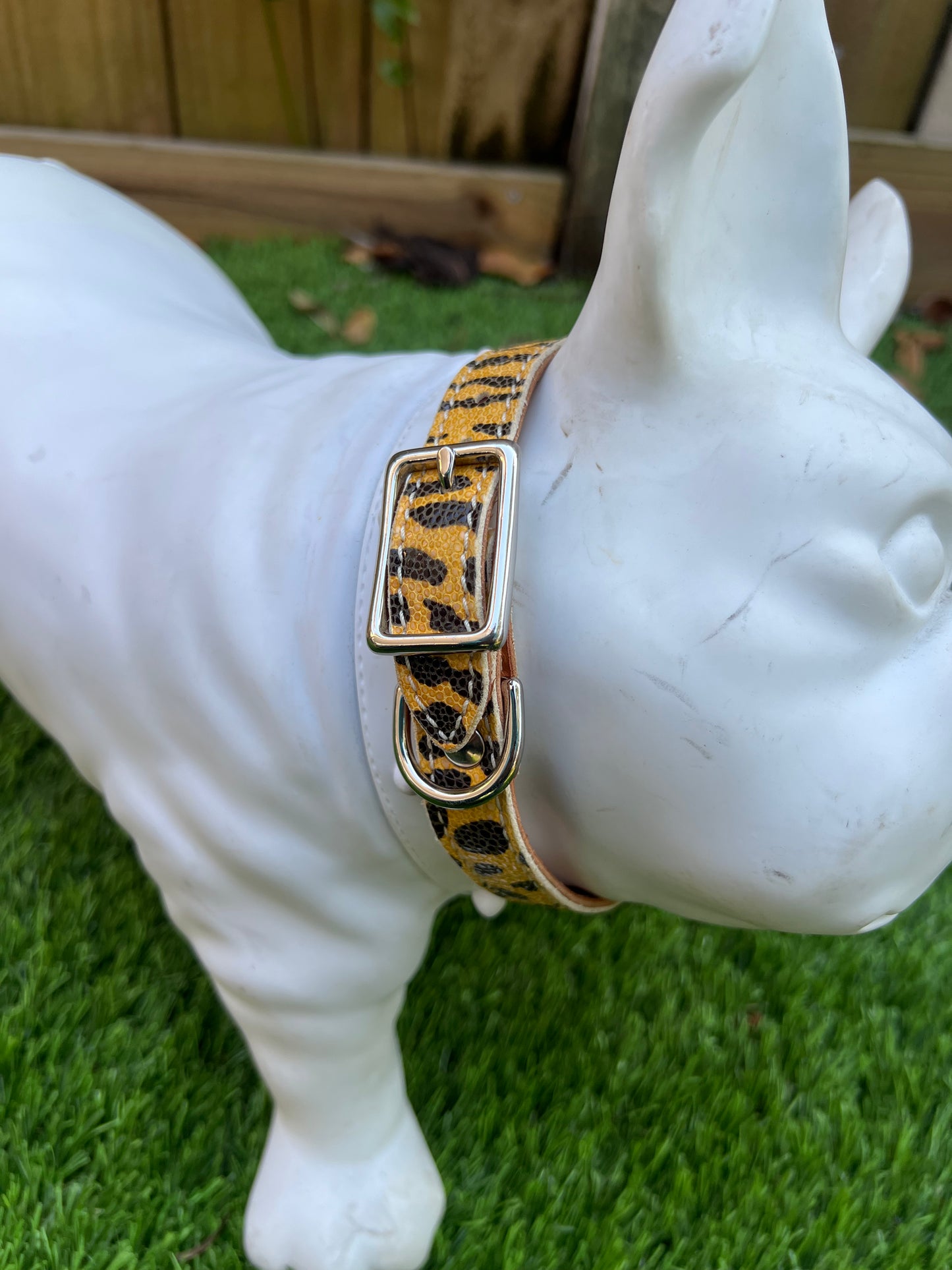 Chuck P dog collar Tiger Print / 6 Chuck P- Dog Collars equestrian team apparel online tack store mobile tack store custom farm apparel custom show stable clothing equestrian lifestyle horse show clothing riding clothes Chuck P- Dog Collars horses equestrian tack store