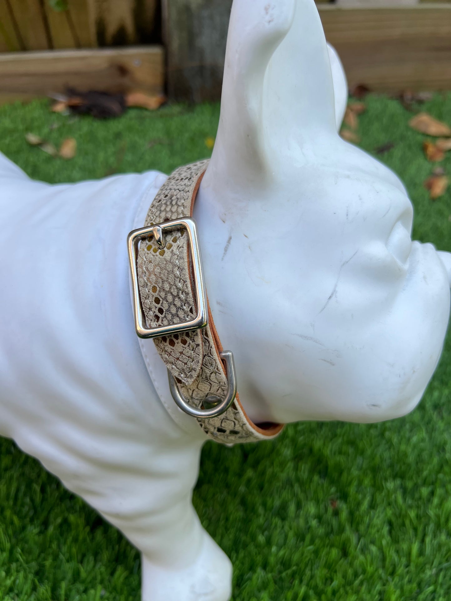 Chuck P dog collar Golden Snake / 12 Chuck P- Dog Collars equestrian team apparel online tack store mobile tack store custom farm apparel custom show stable clothing equestrian lifestyle horse show clothing riding clothes Chuck P- Dog Collars horses equestrian tack store