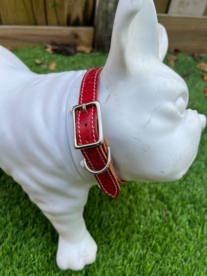 Chuck P dog collar Red Croc / 9 Chuck P- Dog Collars equestrian team apparel online tack store mobile tack store custom farm apparel custom show stable clothing equestrian lifestyle horse show clothing riding clothes Chuck P- Dog Collars horses equestrian tack store