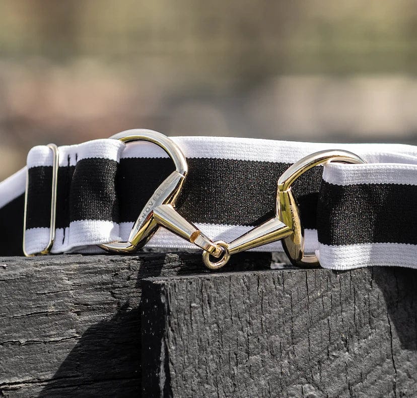 Novella Equestrian Belts Black/White Stripe Novella Equestrian- Glimmer Snaffle Bit Stretch Belt (1.5") equestrian team apparel online tack store mobile tack store custom farm apparel custom show stable clothing equestrian lifestyle horse show clothing riding clothes horses equestrian tack store