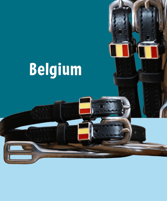 ManeJane Spur Straps Spur Straps- Flag (Belgium) equestrian team apparel online tack store mobile tack store custom farm apparel custom show stable clothing equestrian lifestyle horse show clothing riding clothes ManeJane Frogger Spur Straps horses equestrian tack store