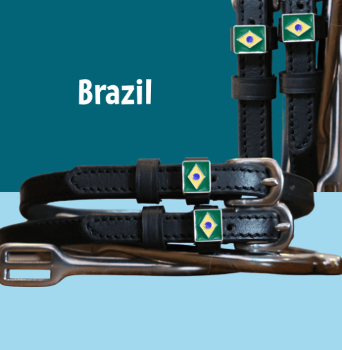 ManeJane Spur Straps Spur Straps- Flag (Brazil) equestrian team apparel online tack store mobile tack store custom farm apparel custom show stable clothing equestrian lifestyle horse show clothing riding clothes ManeJane Frogger Spur Straps horses equestrian tack store