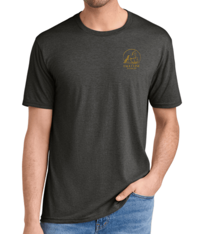 Equestrian Team Apparel custom t-shirt Charcoal / XS / Gold Fault Line Stables- Men's T-Shirt equestrian team apparel online tack store mobile tack store custom farm apparel custom show stable clothing equestrian lifestyle horse show clothing riding clothes Fault Line Stables- Men's T-Shirt horses equestrian tack store