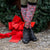 Dreamers & Schemers Socks Dreamers & Schemers- AllPony Holiday Barn equestrian team apparel online tack store mobile tack store custom farm apparel custom show stable clothing equestrian lifestyle horse show clothing riding clothes horses equestrian tack store