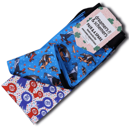 Dreamers & Schemers- Anteaters Ollie