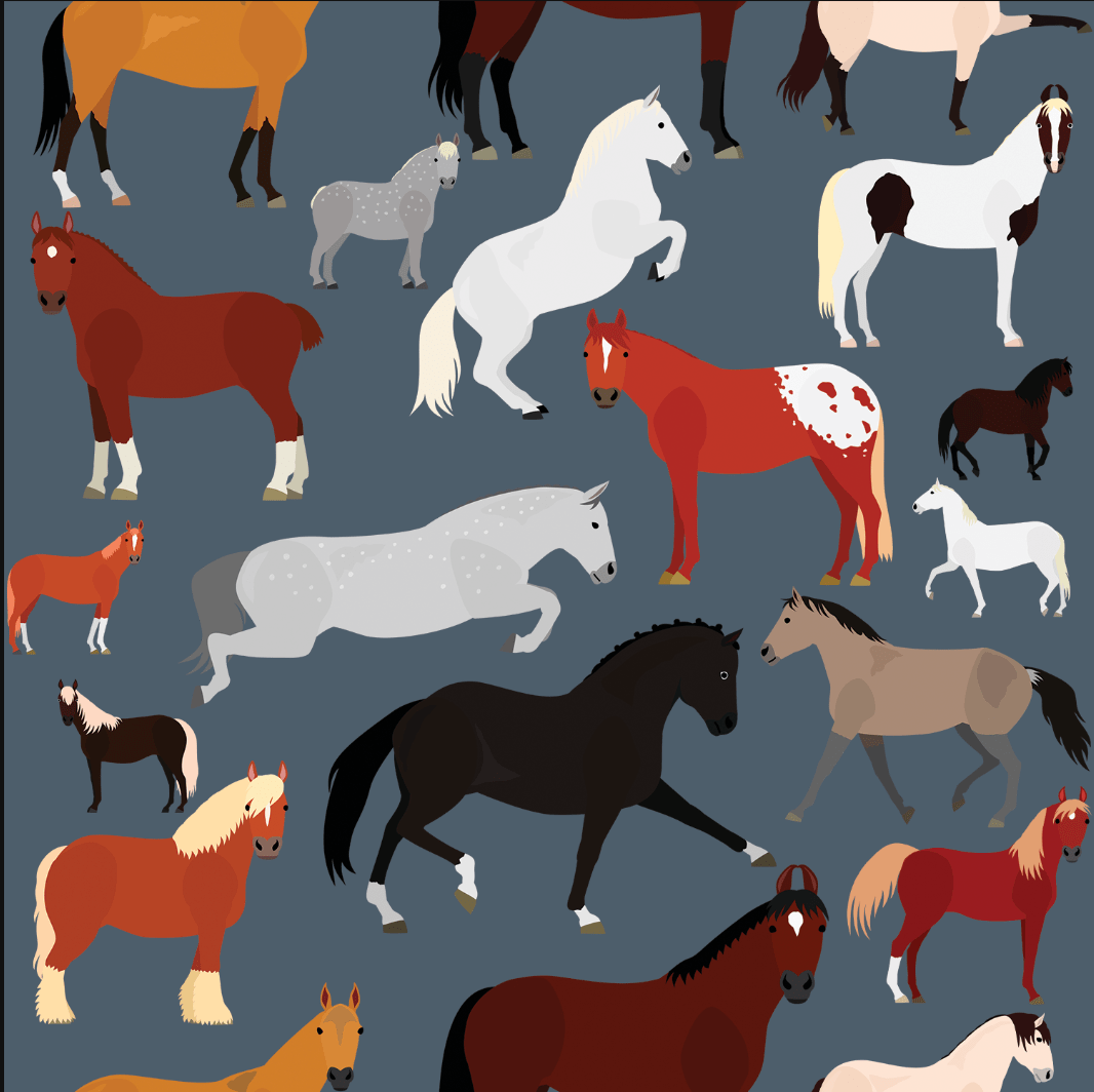 dreamers & schemers Boot Sock Dreamers & Schemers- Breeds of the World (Youth) equestrian team apparel online tack store mobile tack store custom farm apparel custom show stable clothing equestrian lifestyle horse show clothing riding clothes Unicorns & Fluffy Clouds Horse Riding  Boot Socks horses equestrian tack store