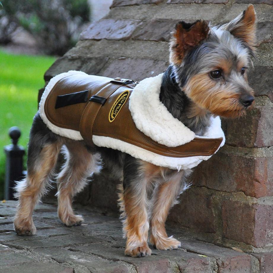 Designer Harness Dog Coat Co Pilot Classic Bomber Equestrian Team Apparel