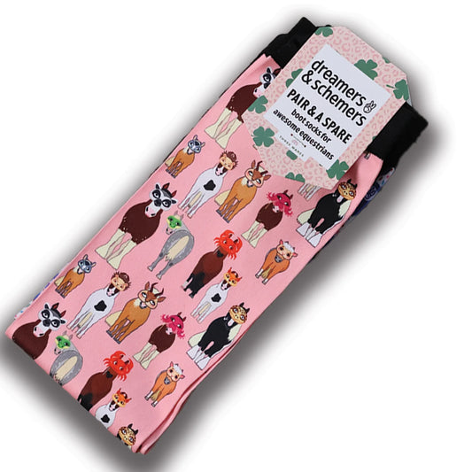 Dreamers & Schemers-  Disguise Pair & a Spare