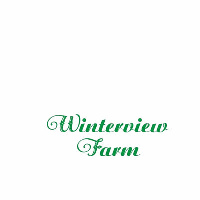 Equestrian Team Apparel Winterview Farm TKEQ tech shirt equestrian team apparel online tack store mobile tack store custom farm apparel custom show stable clothing equestrian lifestyle horse show clothing riding clothes horses equestrian tack store