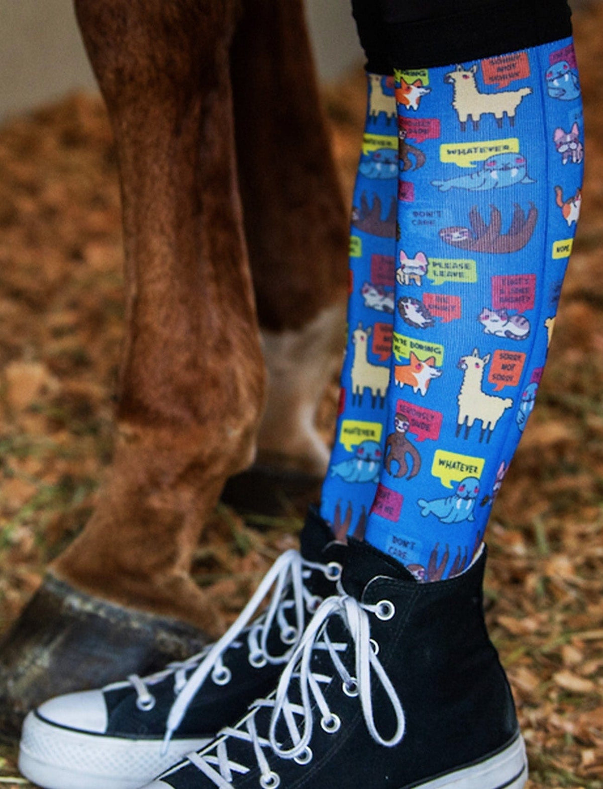 Dreamers & Schemers Socks Dreamers & Schemers- Sarcastic Animals equestrian team apparel online tack store mobile tack store custom farm apparel custom show stable clothing equestrian lifestyle horse show clothing riding clothes horses equestrian tack store